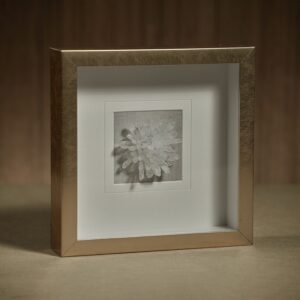 Gold Framed Clear Crystal Wall Art